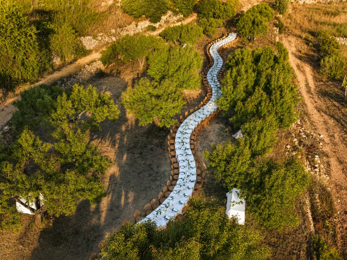 Mesa larga de banquete serpenteando entre pinos, vista desde un dron