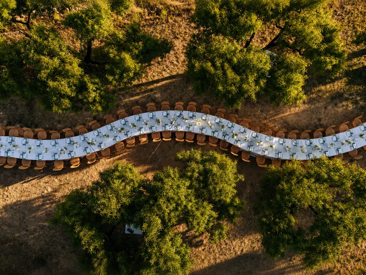 Mesa larga de banquete en un olivar vista desde un dron